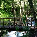 La Ficuzza Holiday home *